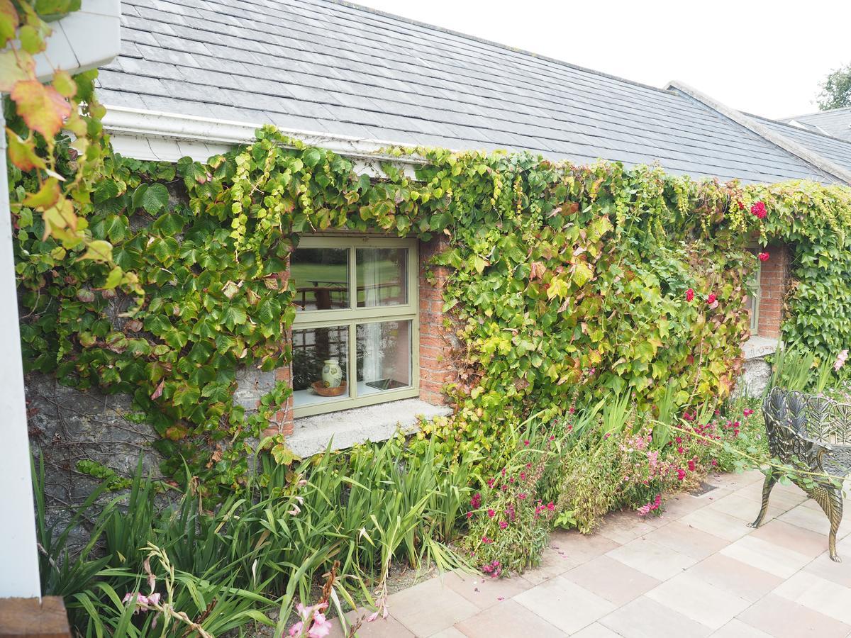 Coolanowle Self Catering Holiday Accommodation Κάρλοου Εξωτερικό φωτογραφία